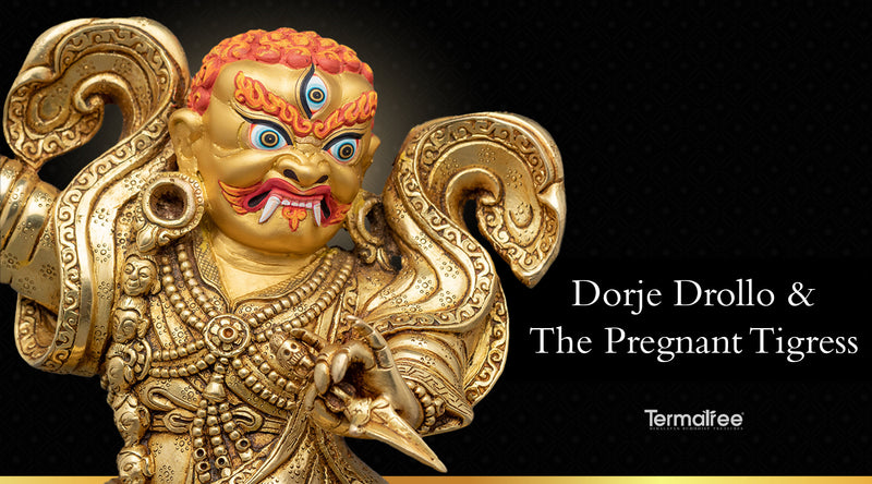 Dorje Drollo and The Pregnant Tigress