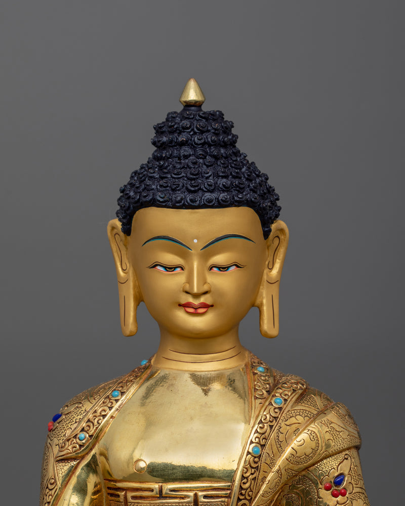 The Five Buddha family Set Statue | Five Wisdom Tathāgatas of Buddhism