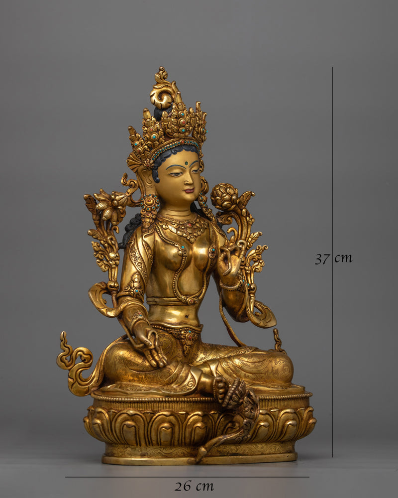 female-bodhisattva-syamatara