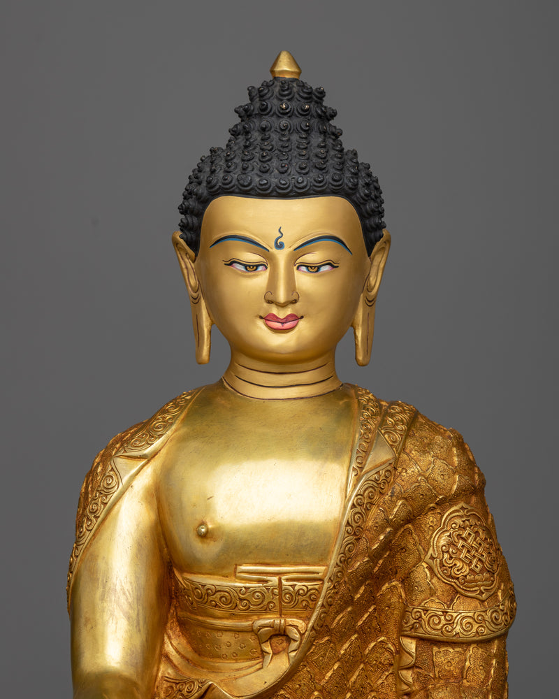 the happy buddha - shakyamuni buddha 