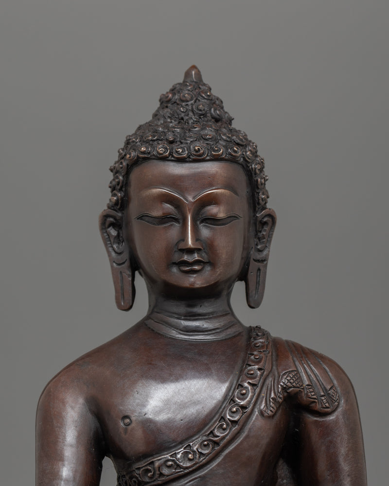 Enlightened Buddha Amitabha Statue for Dharma | Oxidized Buddha Artwork