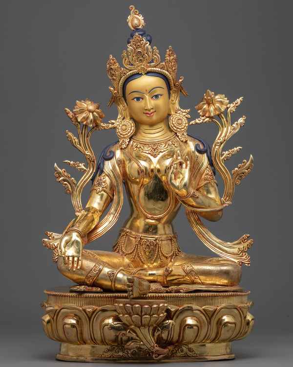 tara-shyam